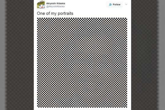 Daugiau nei langeliai: ar matote paslėptą veidą?