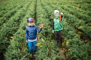 20 vaikų darželių švenčia pergalę – laimėjo šiltnamius savo darželiui