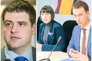 „Tvarkiečiai“ atsisakė dalyvauti D. Šakalienės komisijos apklausose: suabejojo jos sveikata