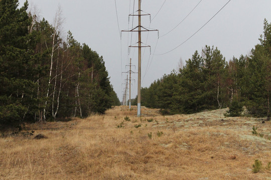 Prieš pat Velykas Neringa dviem dienoms liks be elektros