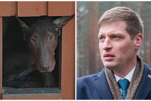 Seimo narys aplankė kūdikį pražudžiusį dobermaną: sujaudino šuns likimas