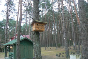 Dailūs paukščių nameliai virto įmantriais kūriniais
