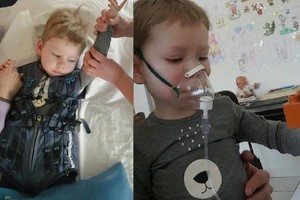 Mirtina liga sergančio dvimečio mama: „Jis vos nepaskendo šuns dubenėlyje“