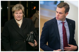 Sklandų karjeros šuolį Irenai Šiaulienei užtikrino Gabrielius Landsbergis