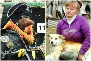 Kaimo siaubūnas grasino išžudyti šeimą, dabar praliejo šuns kraują