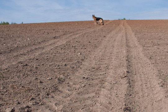 Parduoti įmonę, turinčią daugiau nei 10 ha žemės – neįmanoma misija