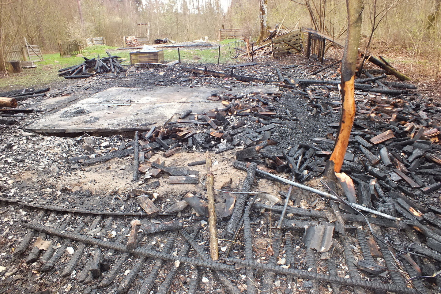 Kai ugniagesiai pasiekė miškuose esančią sodybą, pastatas buvo jau visiškai sudegęs.<br>Ugniagesių nuotr.