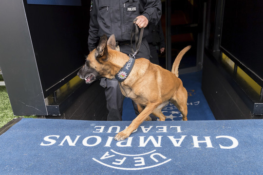 Policija sulaikė „Borussios“ futbolininkų ataka įtariamą 25-erių irakietį