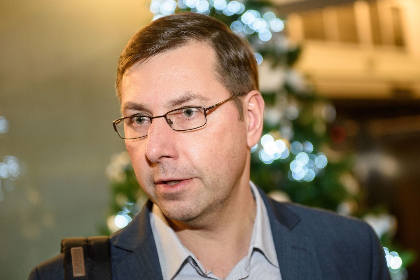 Gintaras Steponavičius.<br>R.Danisevičiaus nuotr.