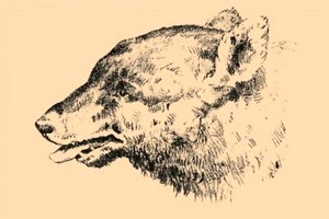 Iššūkis gudriausiems: ar pavyks jį įveikti per 3 sekundes?