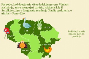 Velykos ir skaičiai: puokštė pikantiškų faktų apie kiaušinius ir dar kai ką