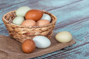 Štai kodėl vištos deda skirtingų spalvų kiaušinius