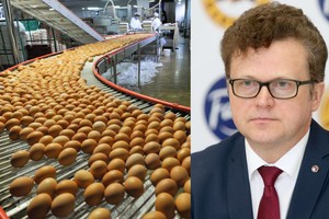 Štai kas nutiks, jei per Velykas prisikirsite daug kiaušinių