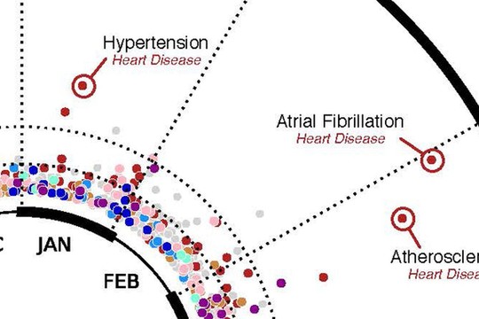 Gimimo mėnuo atskleis, kokiomis ligomis galite susirgti