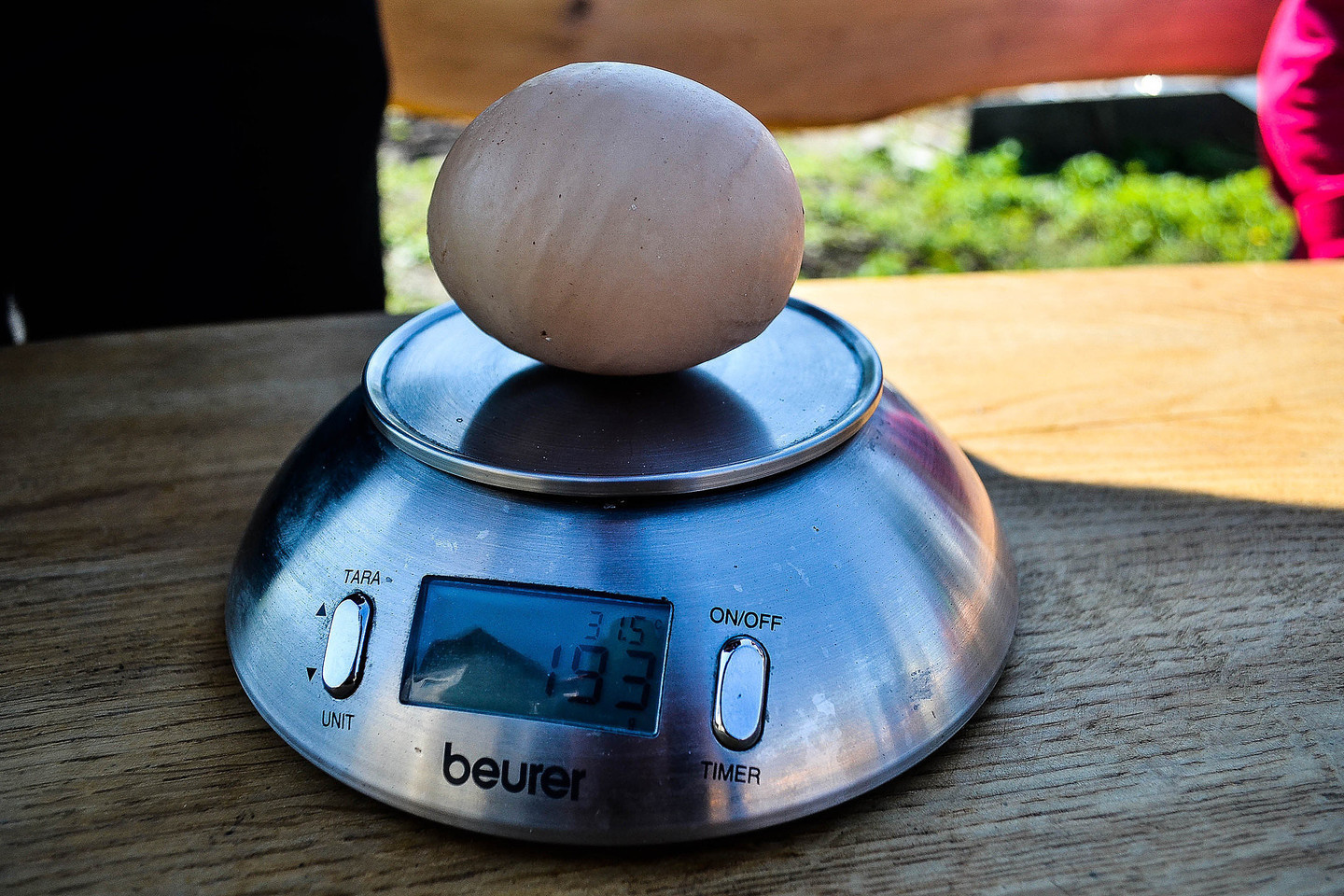 Pernai gegužę dreverniškės Ritos višta padėjo net 194 gramus svėrusį vištos kiaušinį, kuris, palyginti su kitais, atrodė tikras milžinas.<br>M.Bučnio nuotr.
