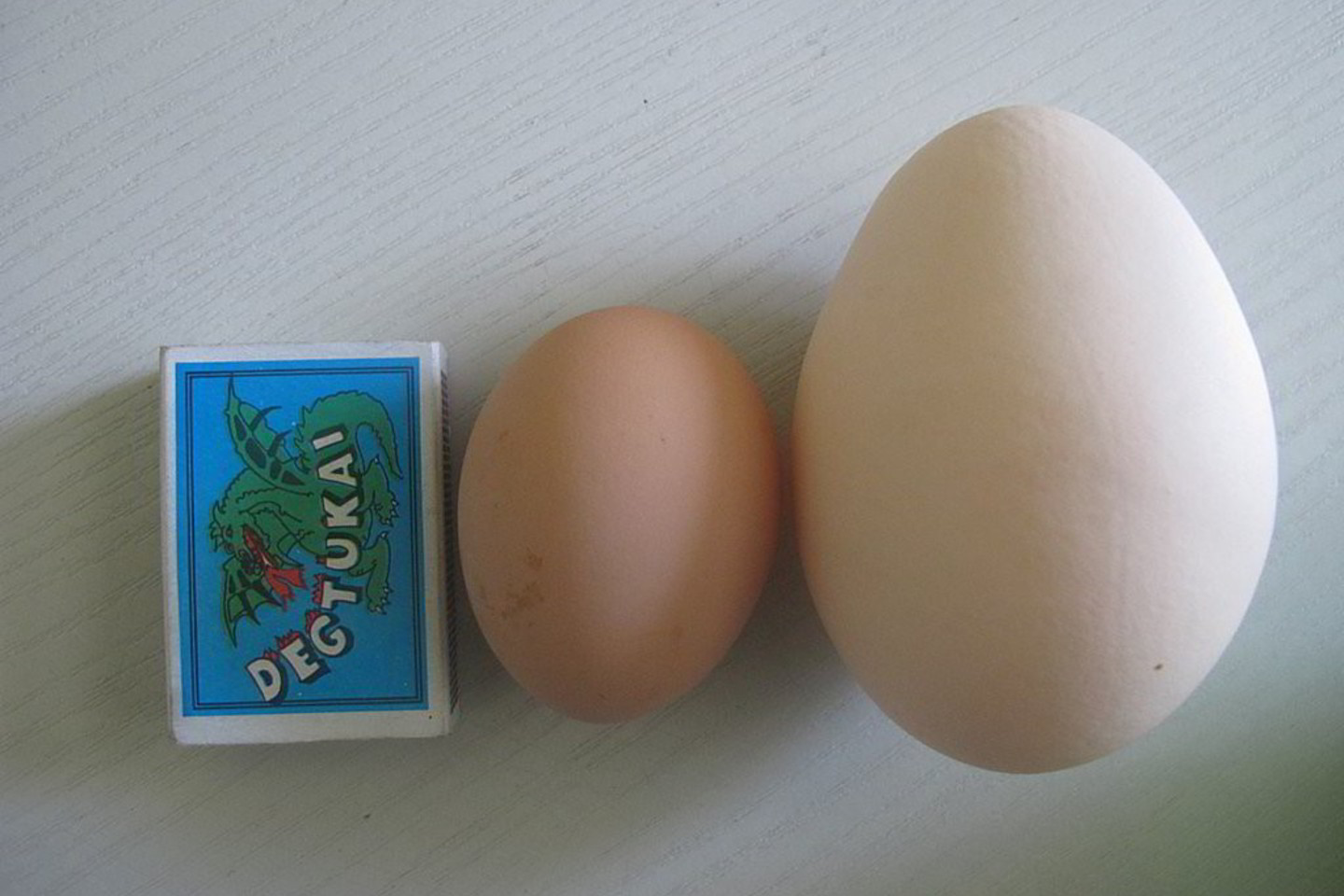 Barklainių kaimo gyventojas M.Želnys neįprastai didelį kiaušinį rado po to, kai atšilus vištas ėmė išleisti pasivaikščioti į kiemą.<br>R. Stundžienės nuotr.
