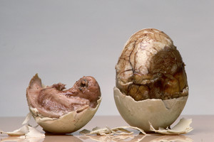 Keisčiausi delikatesai iš kiaušinių – ne silpnų nervų žmonėms