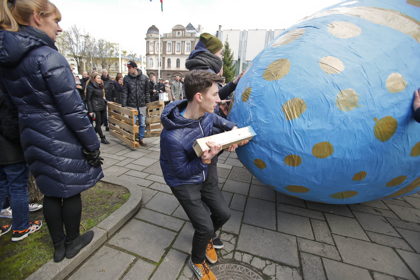 Antrąją Velykų dieną Kauno studentai per Laisvės alėją rideno pačių pagamintą milžiniško dydžio margutį.<br>G.Bitvinsko nuotr.