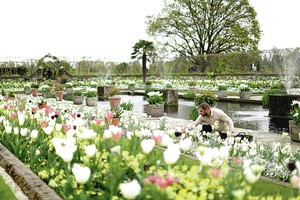 Princesės Dianos atminimui įrengtas sodas žavi subtilumu