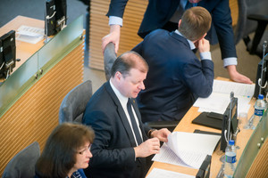 Saulius Skvernelis sulaukė kritikos: „Kodėl numirė sveiko proto žmogus?“