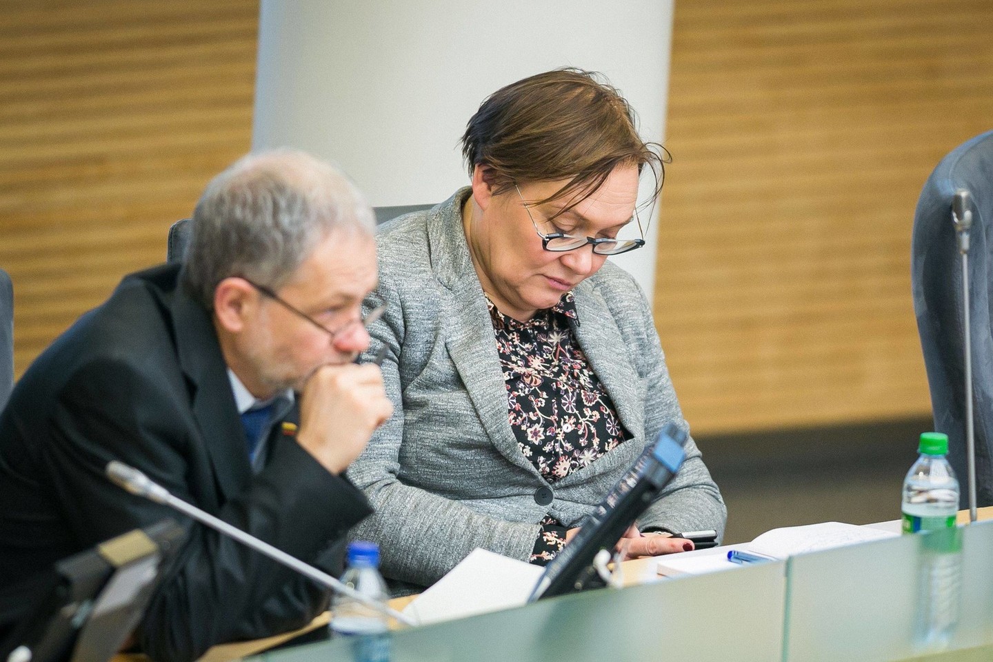 Vyriausybės vadovui pristačius ataskaitą Mišriai Seimo narių grupei atstovaujanti Aušra Maldeikienė sukritikavo premjerą.<br>T.Bauro nuotr.