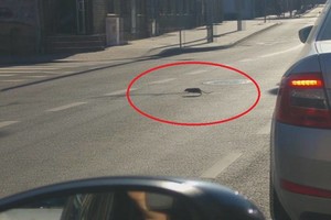 Į darbą keliavusį vilnietį pašiurpino vaizdelis Vilniaus centre