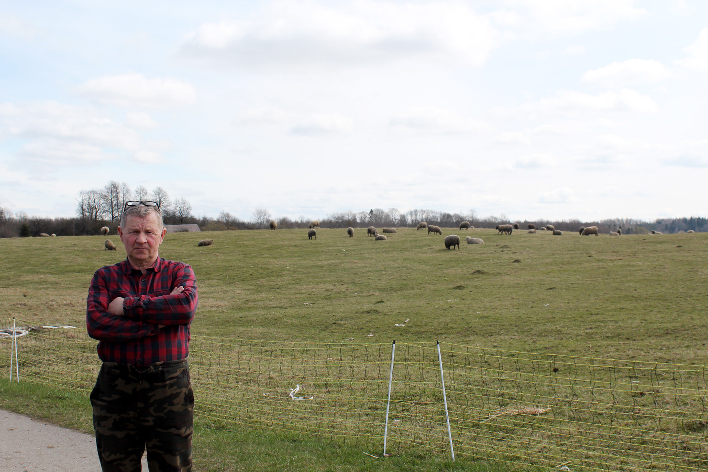 Ūkininkauti dar 1988 metais pradėjusio V.Kondrato avių ūkis yra didžiausias Lietuvoje ir Batijos šalyse.