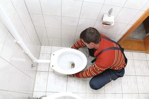 Panevėžio aktorė iš gerbėjo vietoj gėlių gavo klozetą