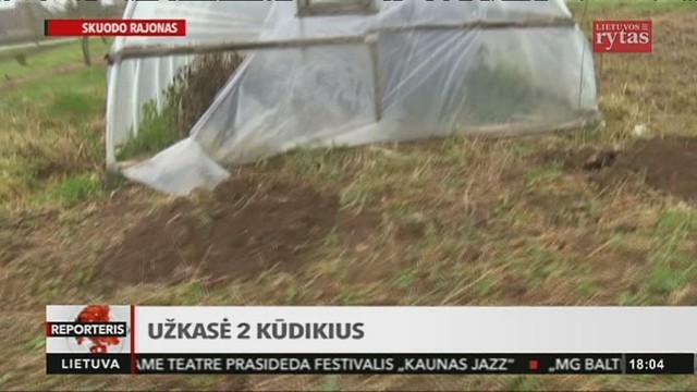 Motina pati parodė, kur užkasė savo naujagimį