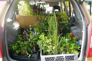 Planuojate kiemo pertvarkymą? Išsamus gidas, kaip tai padaryti gerai ir kuo pigiau