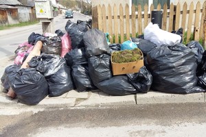 Per talką vilnietės tvora apaugo šiukšlių kalnu