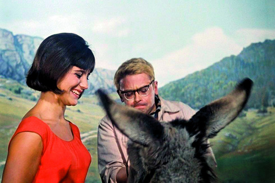 Legendinį filmą „Kaukazo belaisvė, arba Nauji Šuriko nuotykiai“ įkvėpė straipsnis laikraštyje