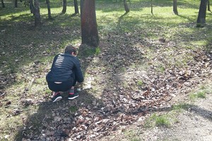 Žiaurios muštynės parke Panevėžyje užminė mįslių