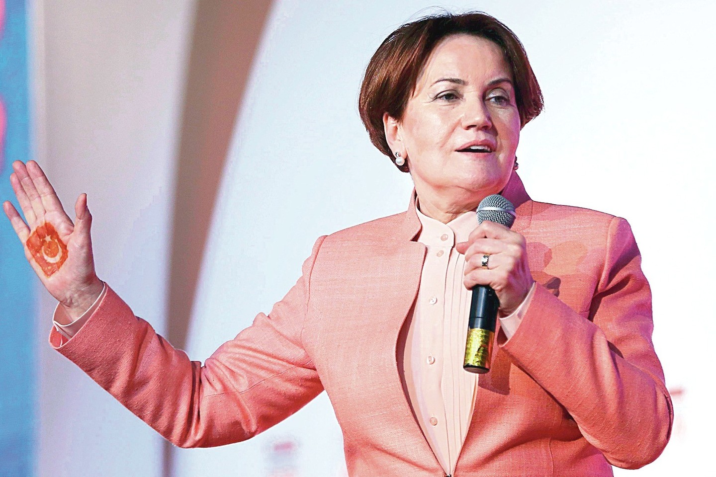 M.Aksener simboliu prieš referendumą tapo ant delno piešta šalies vėliava.