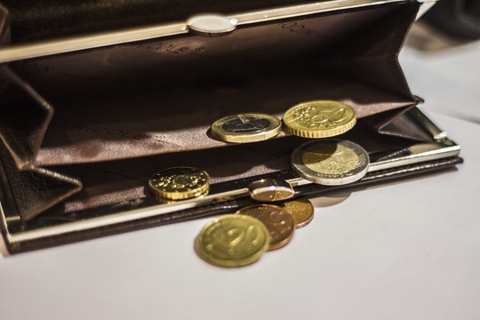 Rūta Vainienė: kas bendra tarp žirafos ir mokesčių mokėtojo?