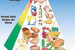 Sveikos mitybos piramidę išvadino „atgyvena“ - štai kokių mitybos principų turėtumėte laikytis