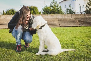 Šeimininkės dovana šuniui – išskirtinė diena ypatingoje vietoje
