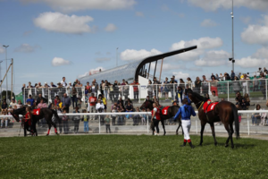 Lietuvos žirgų sportui – ypatinga galimybė