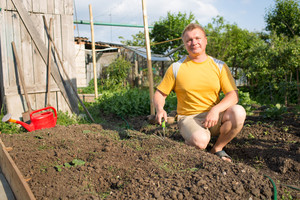 Jauno varėniškio daržovės atsigavo tik po vieno kaimynės patarimo