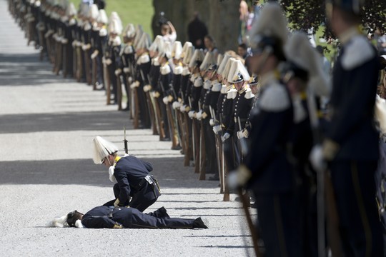 Švedijos karališkieji rūmai skelbia karą žuvėdroms