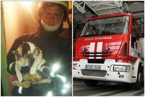 Ugniagesiai katiną išlaisvino tik pramušę sieną