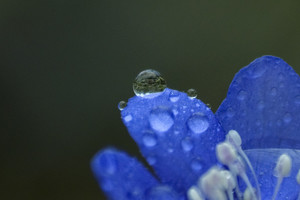 Sinoptikai pranešė, ko laukti rytoj