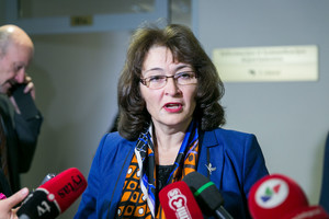 Rima Baškienė: suma Seimo narių parlamentinei veiklai nedidės