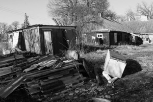 Parodė, kaip dabar atrodo kadaise gyvybės kupinas kaimas