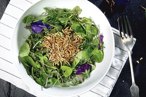 Vabzdžiai jau veržiasi ir ant europiečių stalo