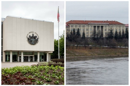 VDU ir LEU planai premjero darbo grupei nerūpi