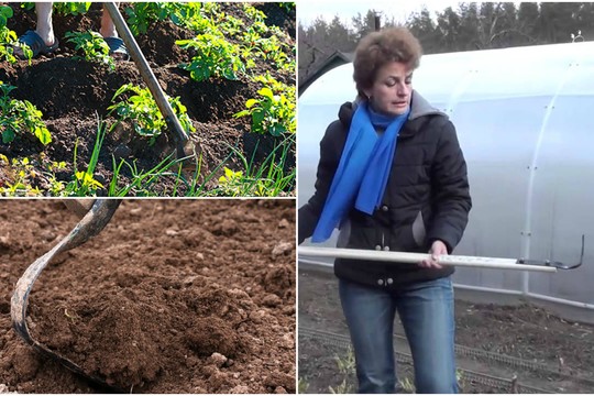 Instrumentas, kurį  atradę daržininkai gailisi to nepadarę anksčiau