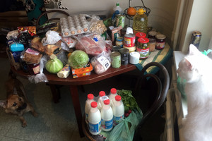 Grįžusi iš Lenkijos šeima paskaičiavo – rezultatas nustebino