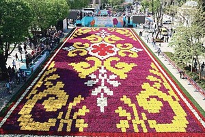 Įspūdingi tulpių žiedai slepia didelius Stambulo skaudulius