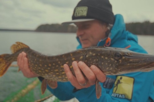 Kaip gaudyti plėšrūnes žuvis giliame seliaviniame ežere?